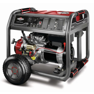 8000 kw Briggs